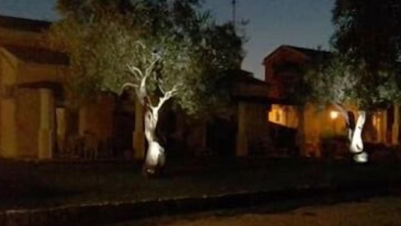 Photo of Outdoor in Roda