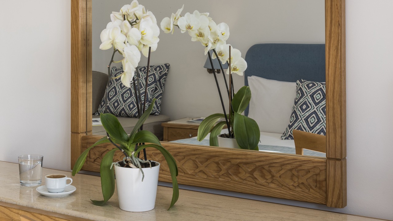 Photo of Bedroom in Psalidi