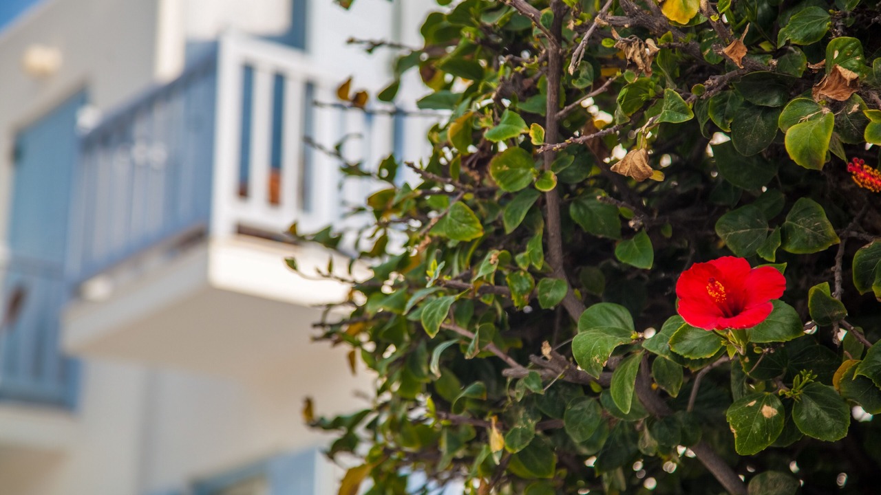 Photo of Outdoor in Mykonos Town