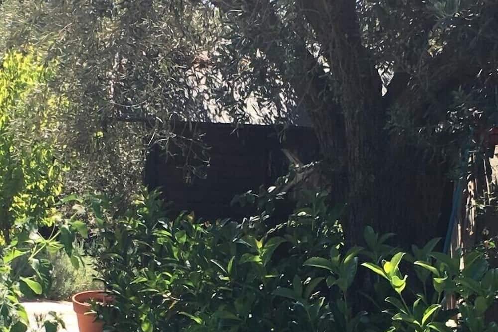 Photo of Outdoor in Skiathos