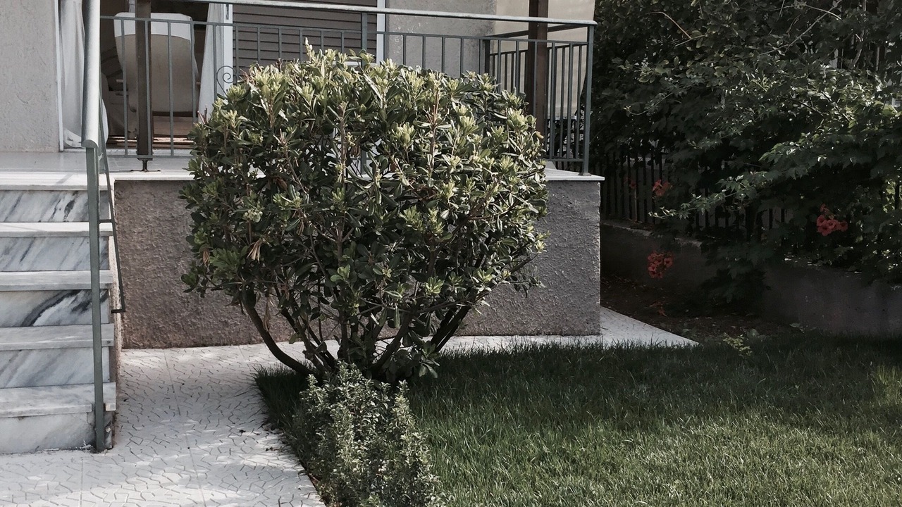 Photo of Outdoor in Oropos