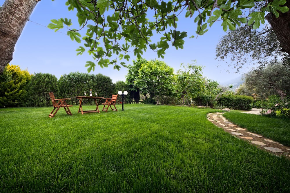Photo of Outdoor in Skopelos