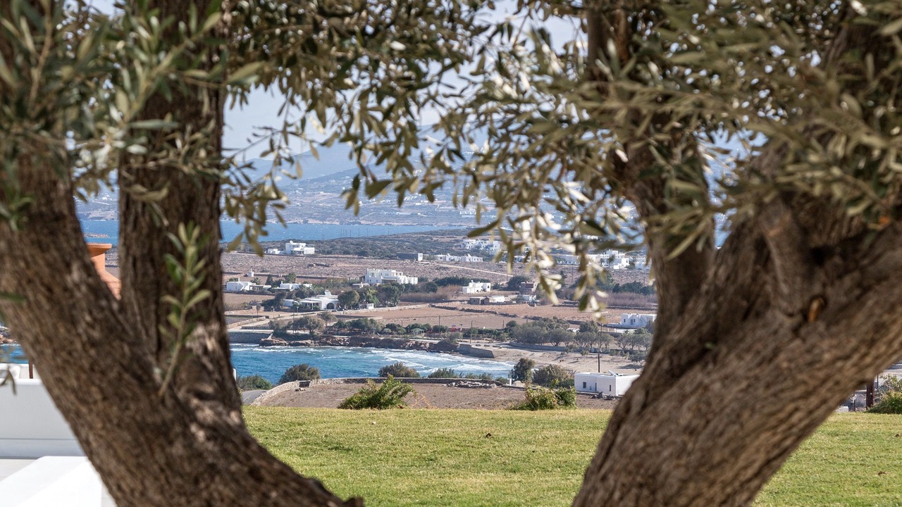 Photo of Outdoor in Antiparos