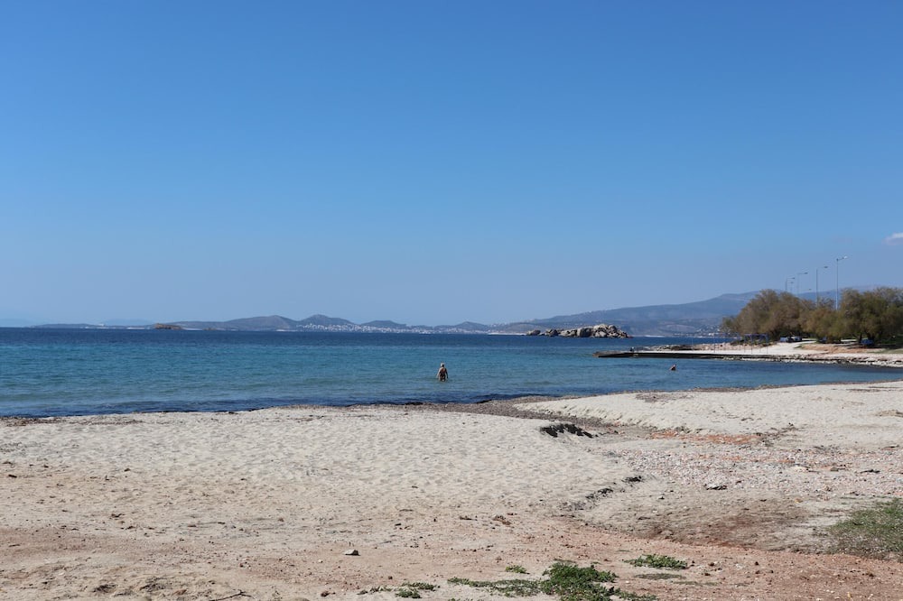 Photo of Others in Saronida