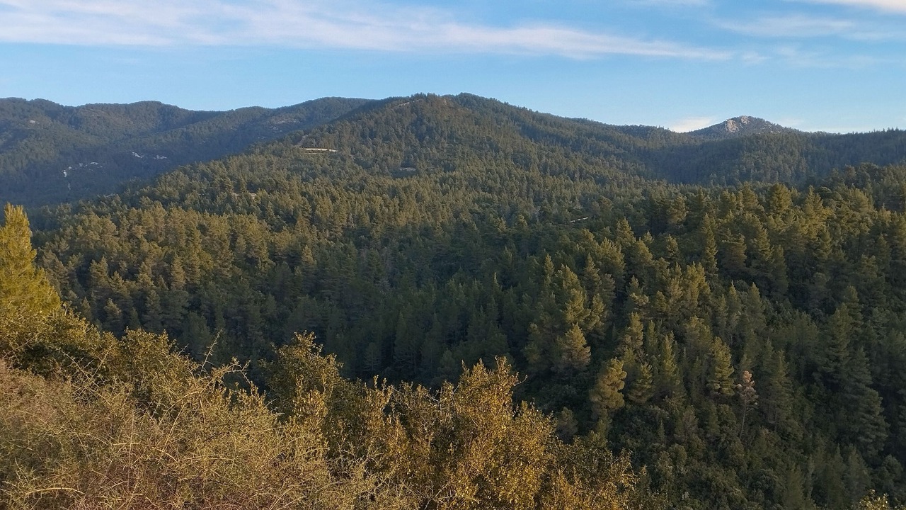 Photo of Outdoor in Parthenonas