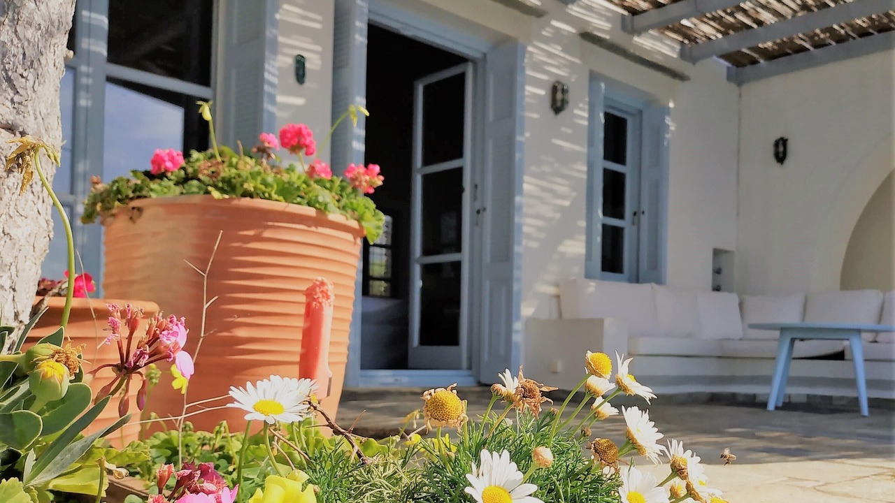 Photo of Patio Balcony in Batsi