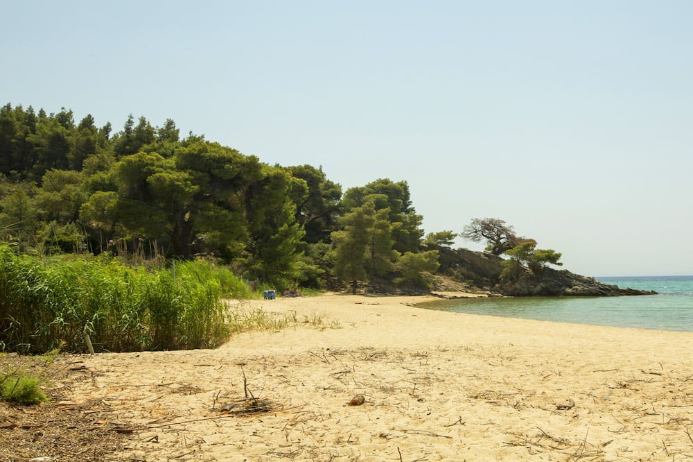 Photo of Others in Elia