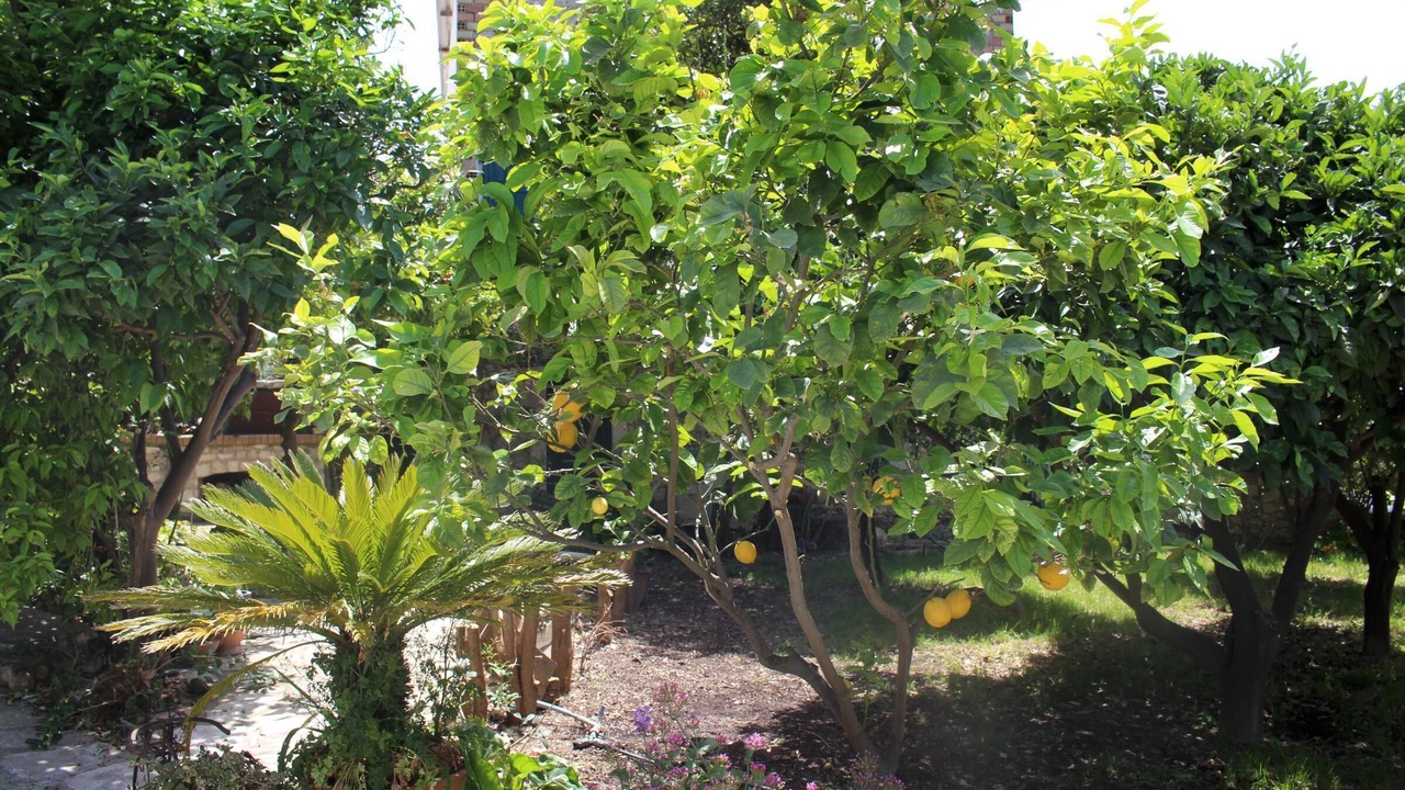Photo of Outdoor in Loutra