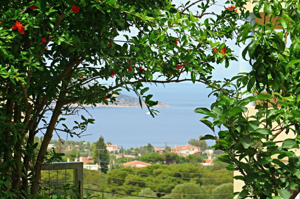 Photo of Outdoor in Lavreotiki