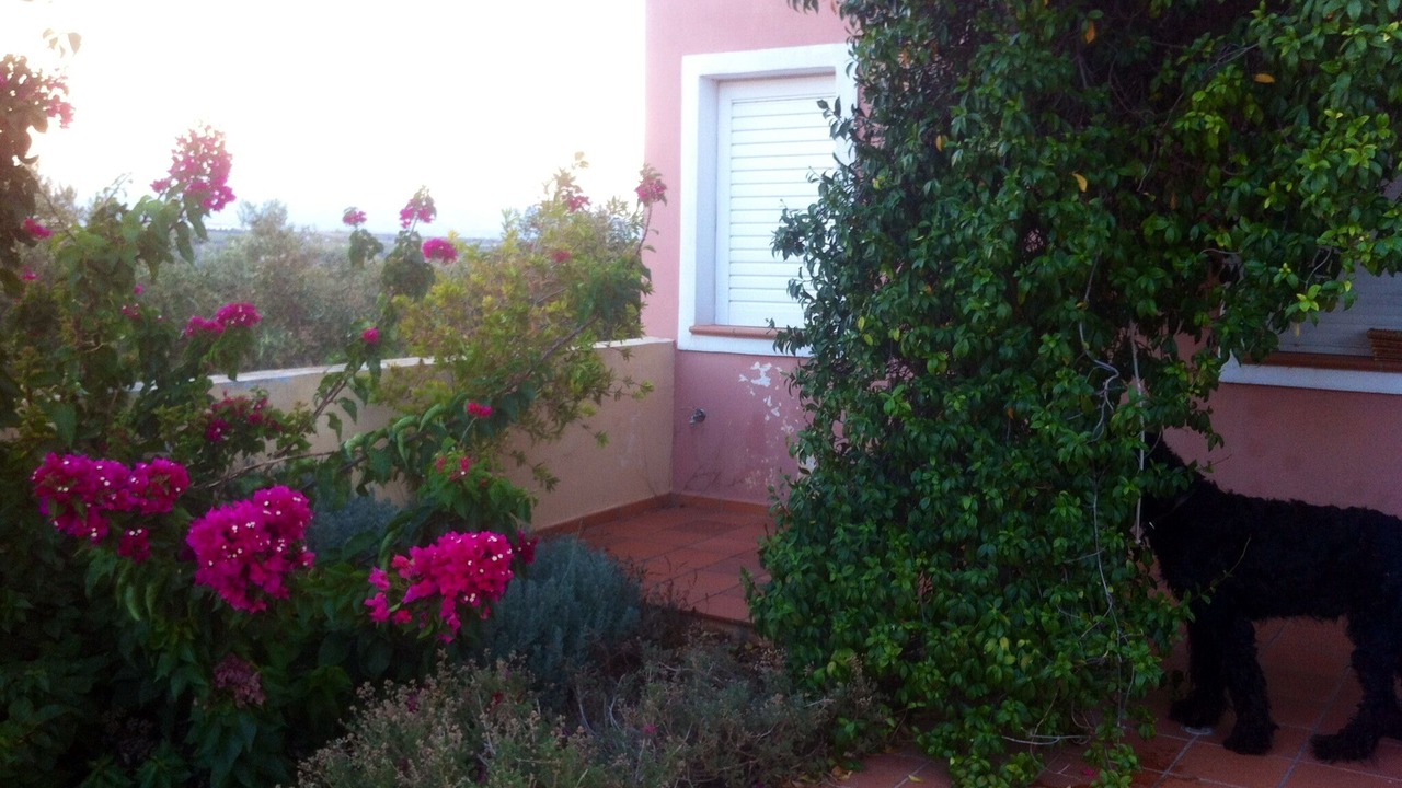 Photo of Outdoor in Markopoulo Mesogaias