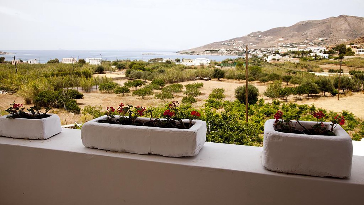 Photo of Outdoor in Posidonia