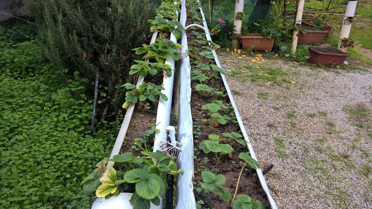 Photo of Outdoor in Agii Apostoli