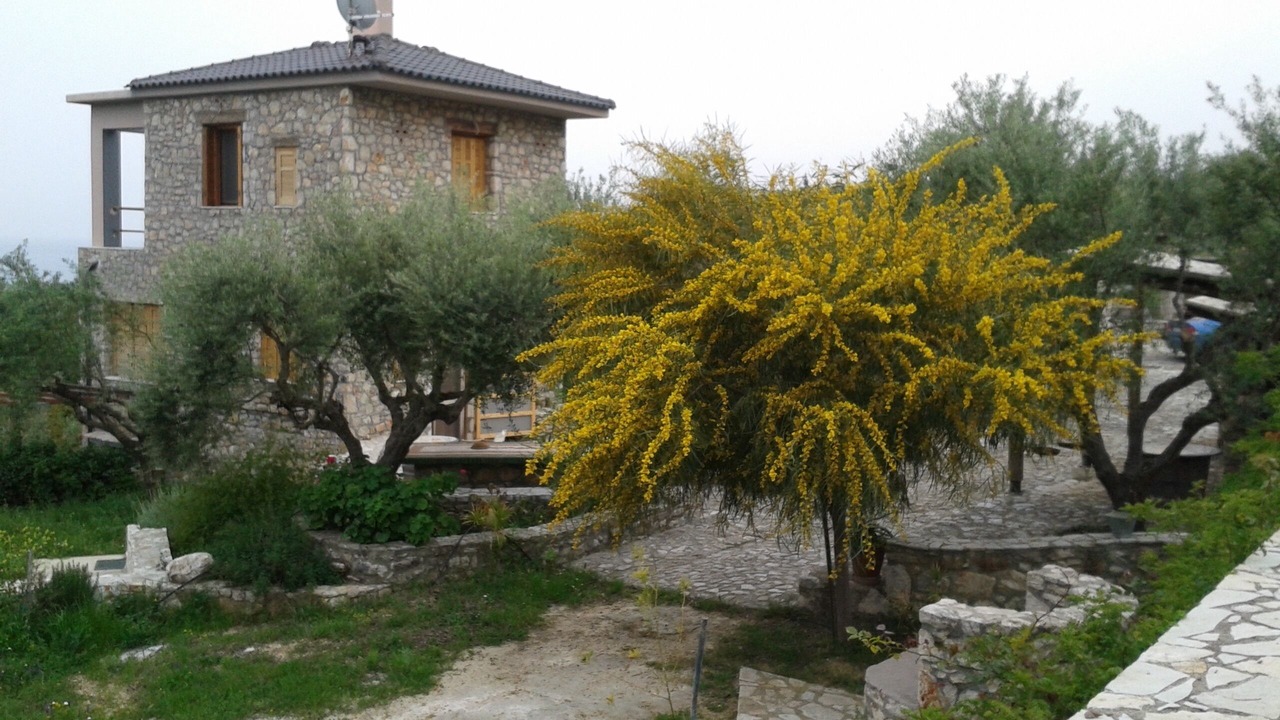 Photo of Outdoor in Messini