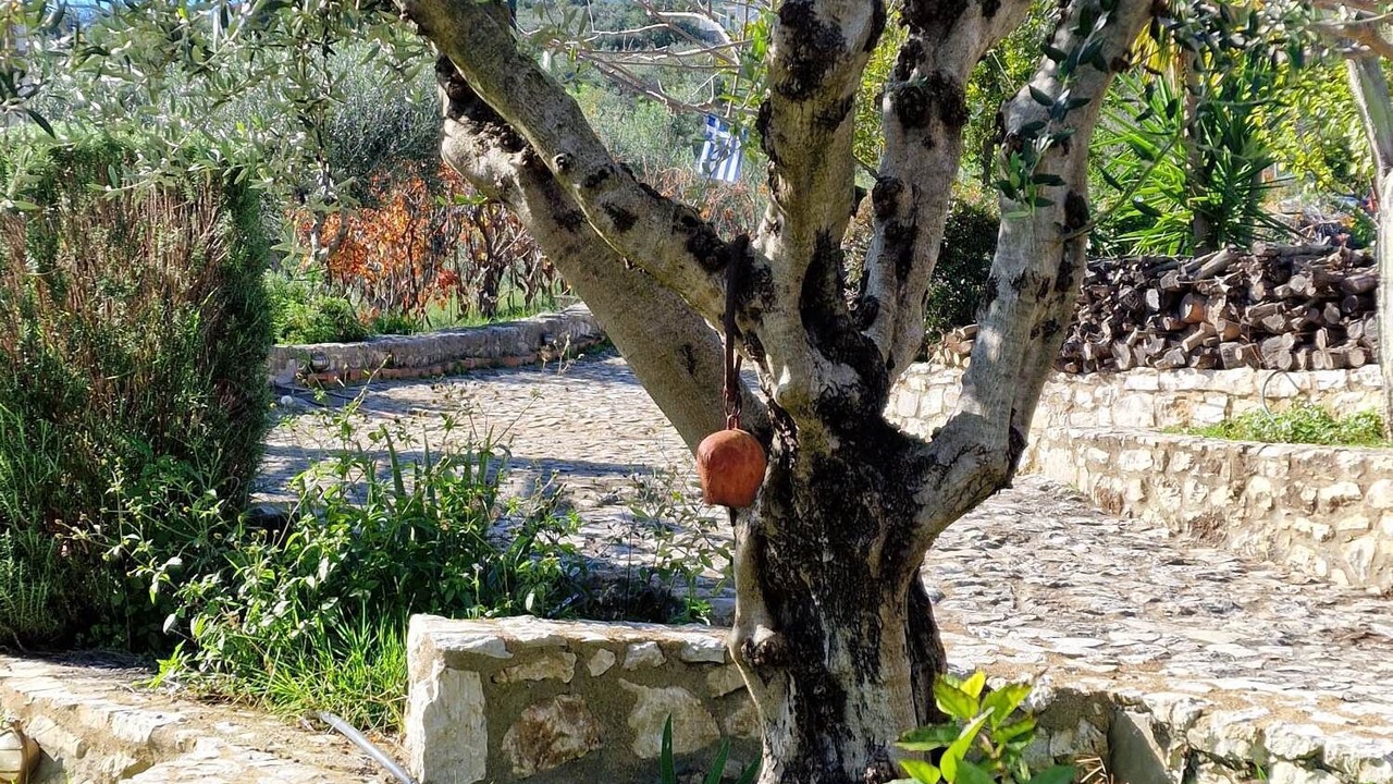 Photo of Outdoor in Messini