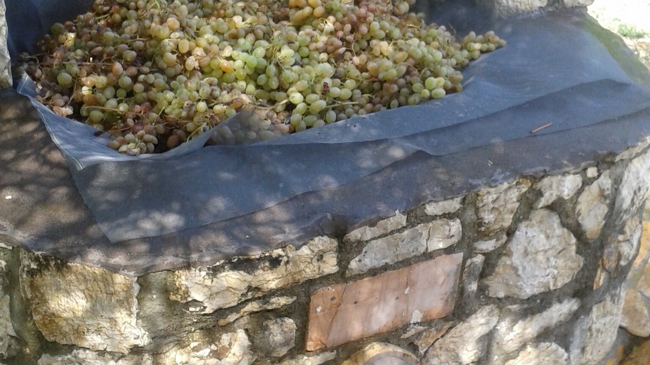 Photo of Outdoor in Messini