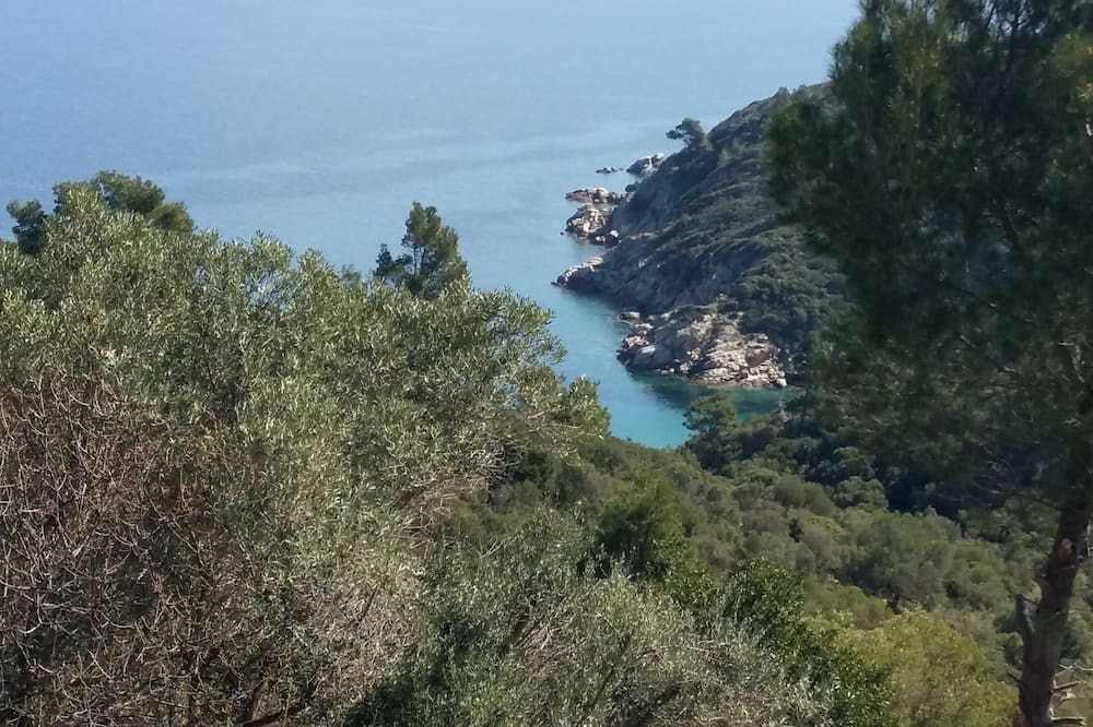 Photo of Others in Sithonia
