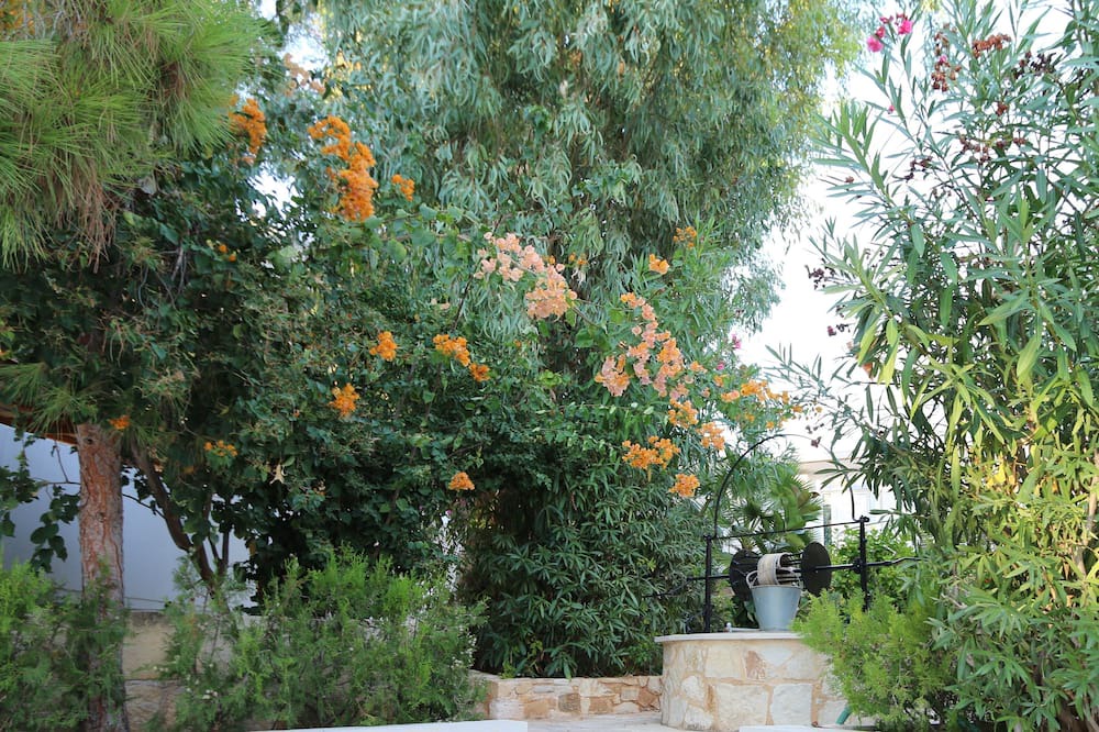 Photo of Outdoor in Livadi