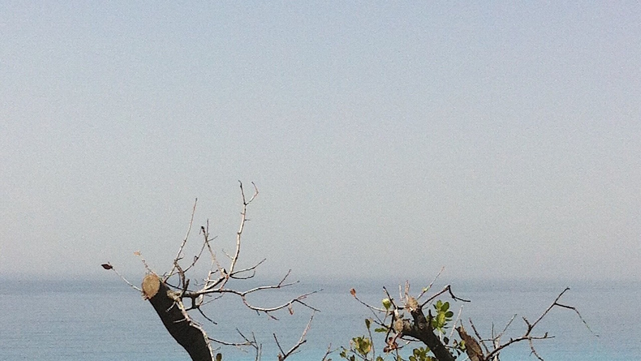 Photo of Others in Mousata