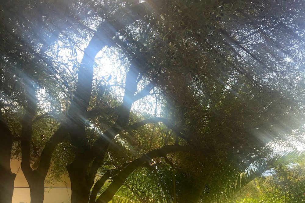 Photo of Outdoor in Anidri