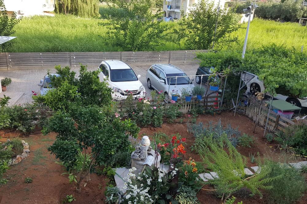 Photo of Outdoor in Lygia