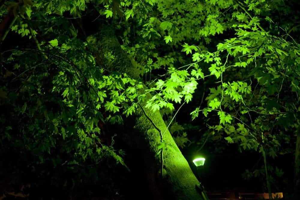 Photo of Outdoor in Koropi