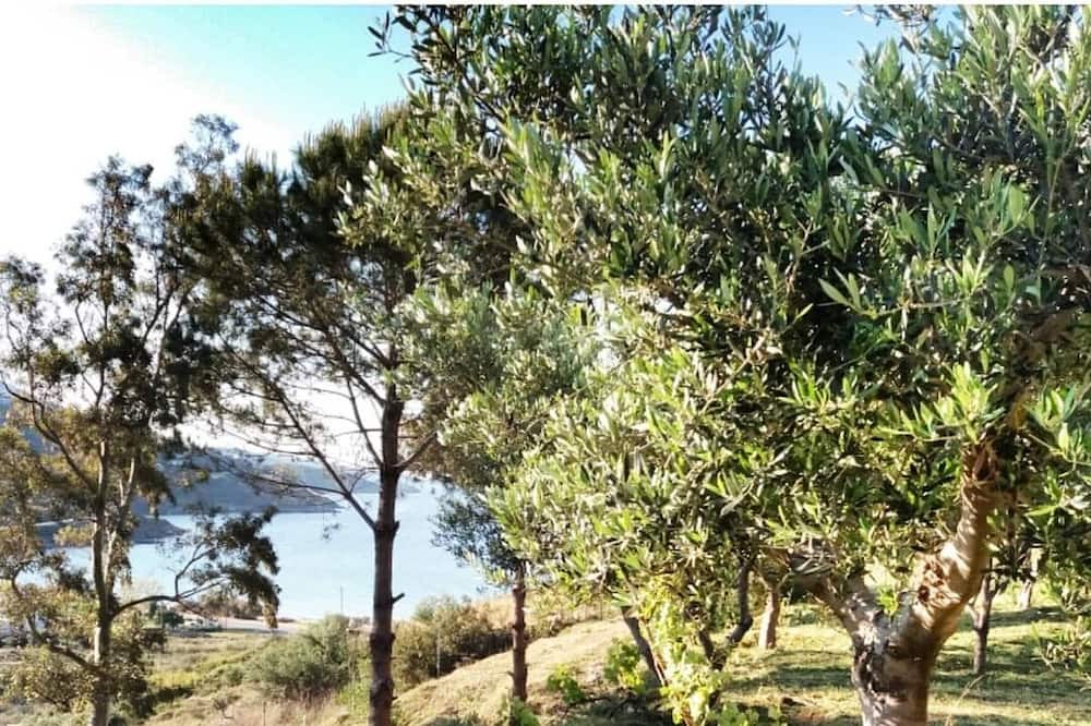 Photo of Outdoor in Kipri