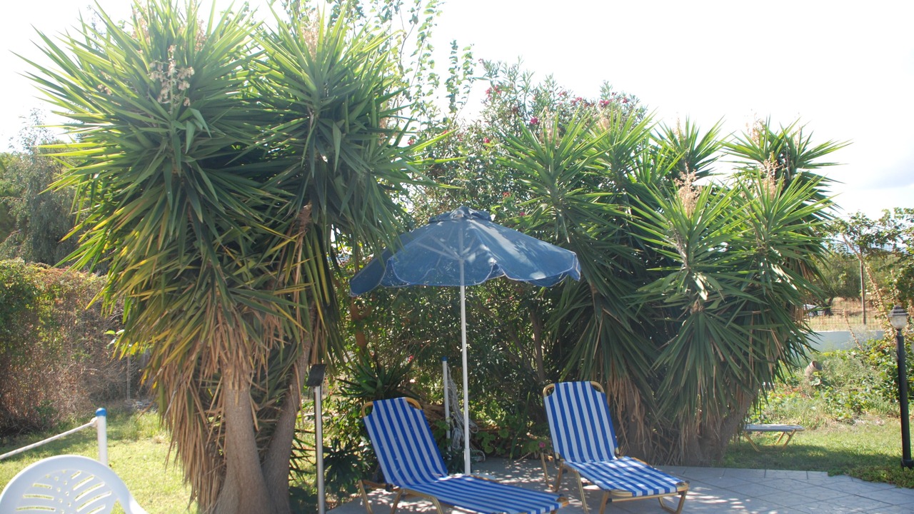 Photo of Outdoor in Potokaki