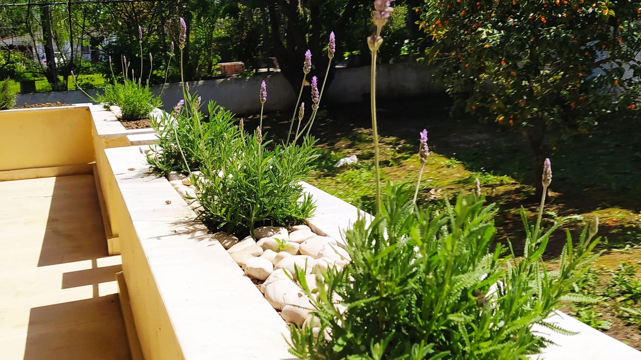 Photo of Patio Balcony in Acharavi