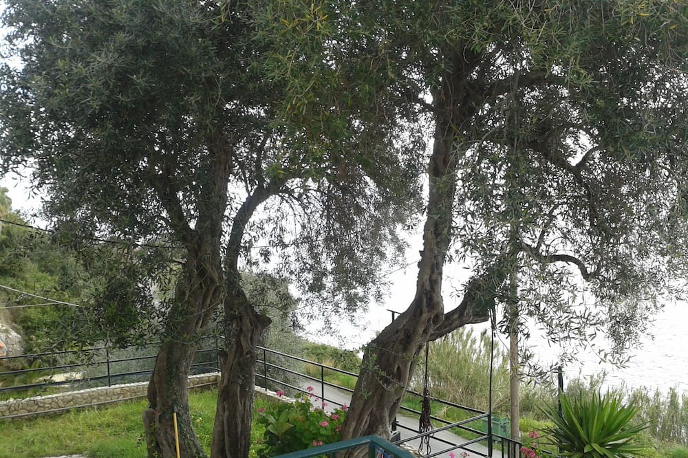 Photo of Others in Agios Ioannis Peristeron