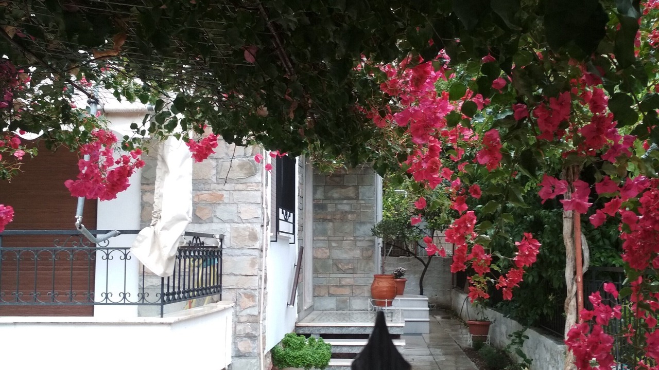 Photo of Others in Argyroupoli