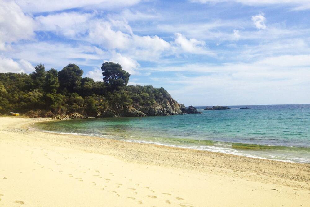 Photo of Others in Sithonia