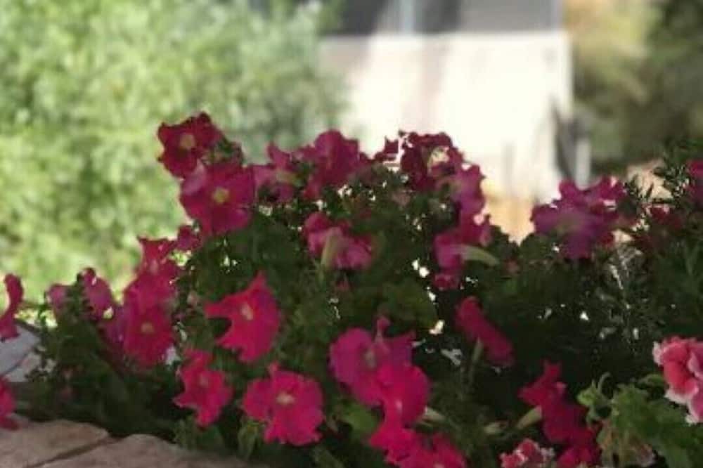 Photo of Outdoor in Loutraki