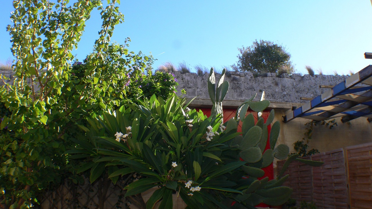 Photo of Outdoor in Rhodes Old Town