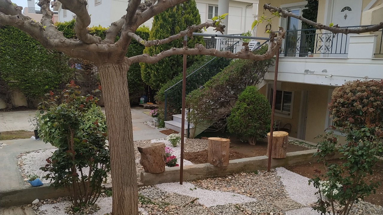 Photo of Outdoor in Spata-Artemida