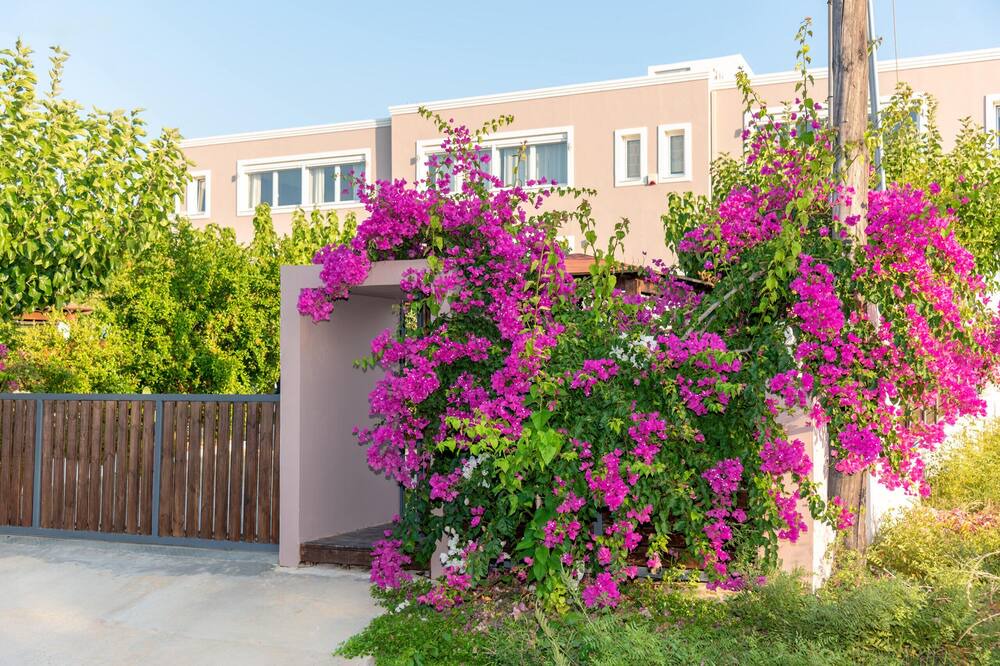 Photo of Outdoor in Stavromenos