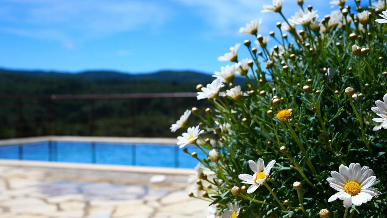 Photo of Outdoor in Kavallos