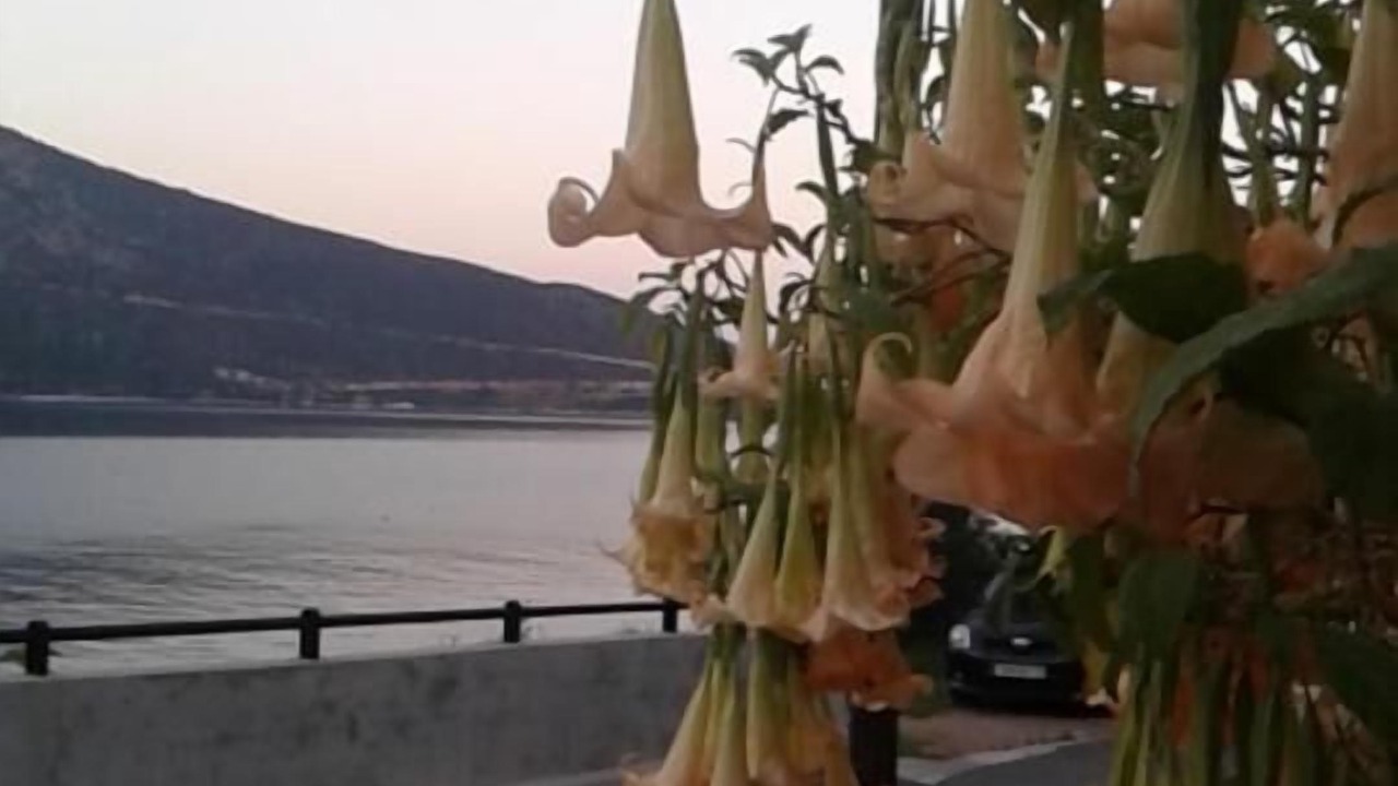 Photo of Outdoor in Charakas