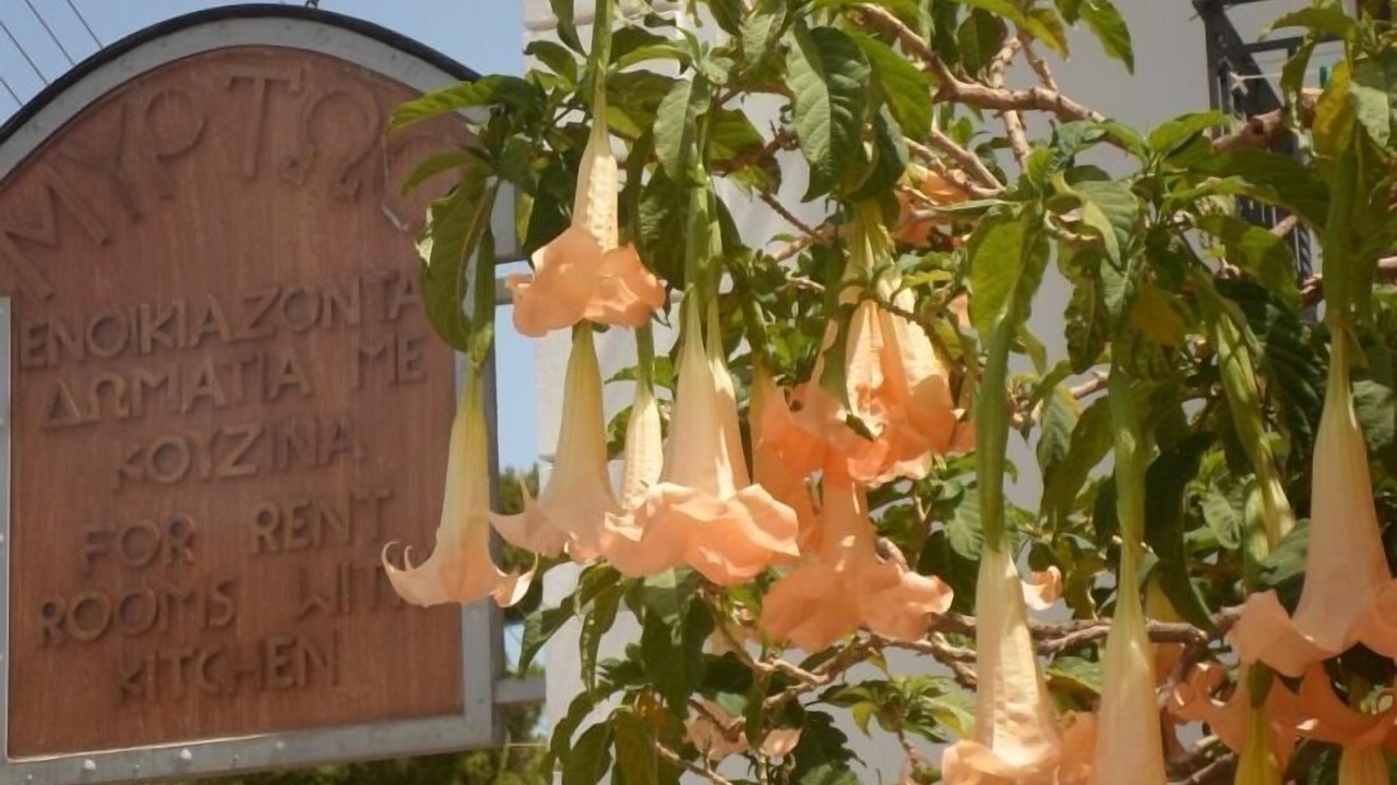 Photo of Outdoor in Charakas