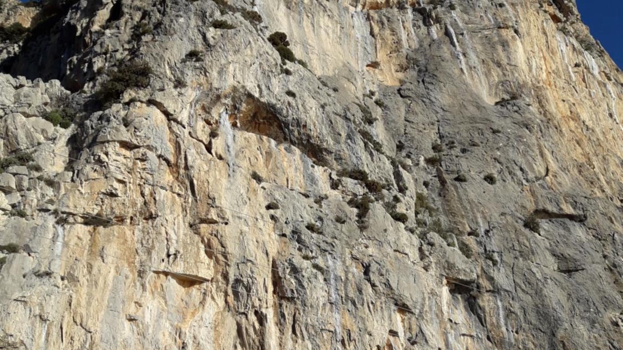 Photo of Others in Charakas