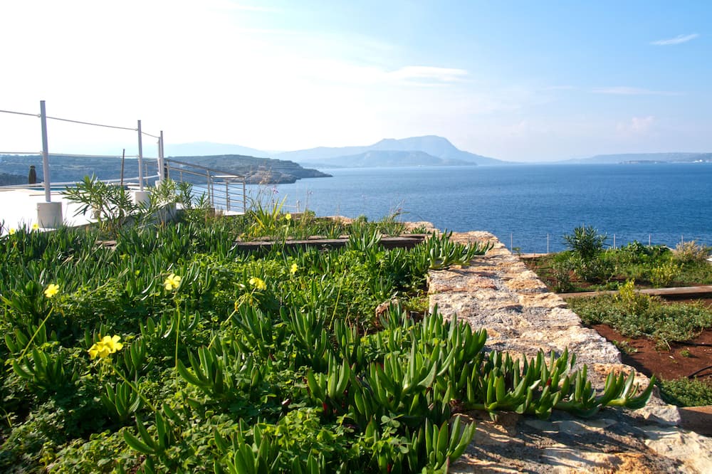 Photo of Others in Apokoronas