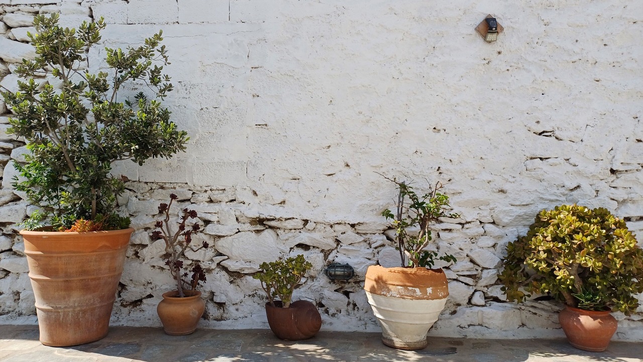 Photo of Outdoor in Mykonos