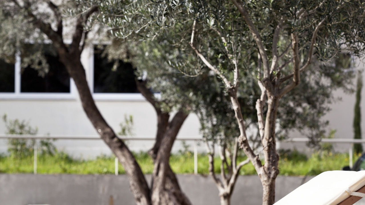 Photo of Outdoor in Amarousion