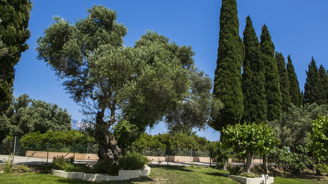 Photo of Outdoor in Ntomata