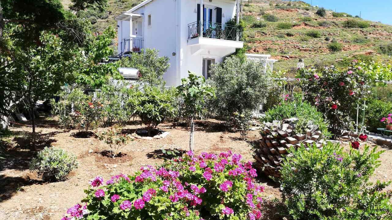 Photo of Outdoor in Kipri