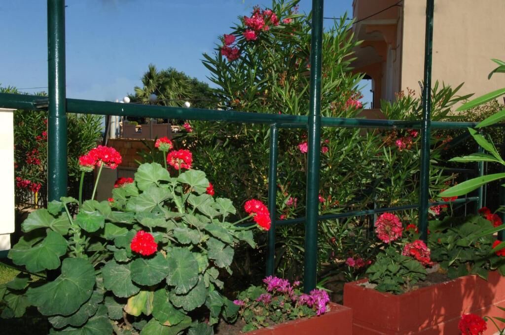 Photo of Outdoor in Agia Ermioni