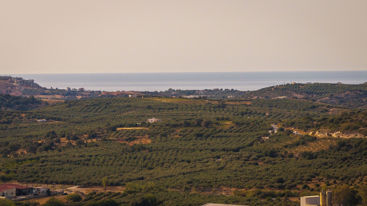 Photo of Outdoor in Dafni