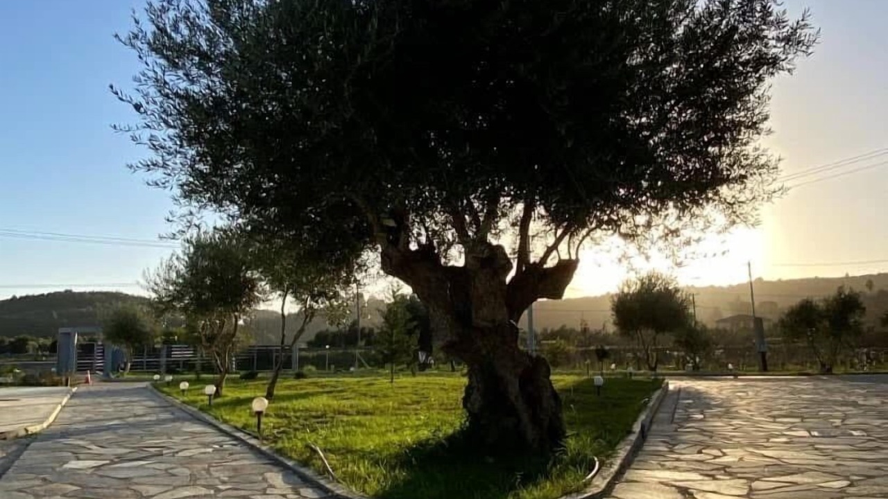 Photo of Outdoor in Pyrgos