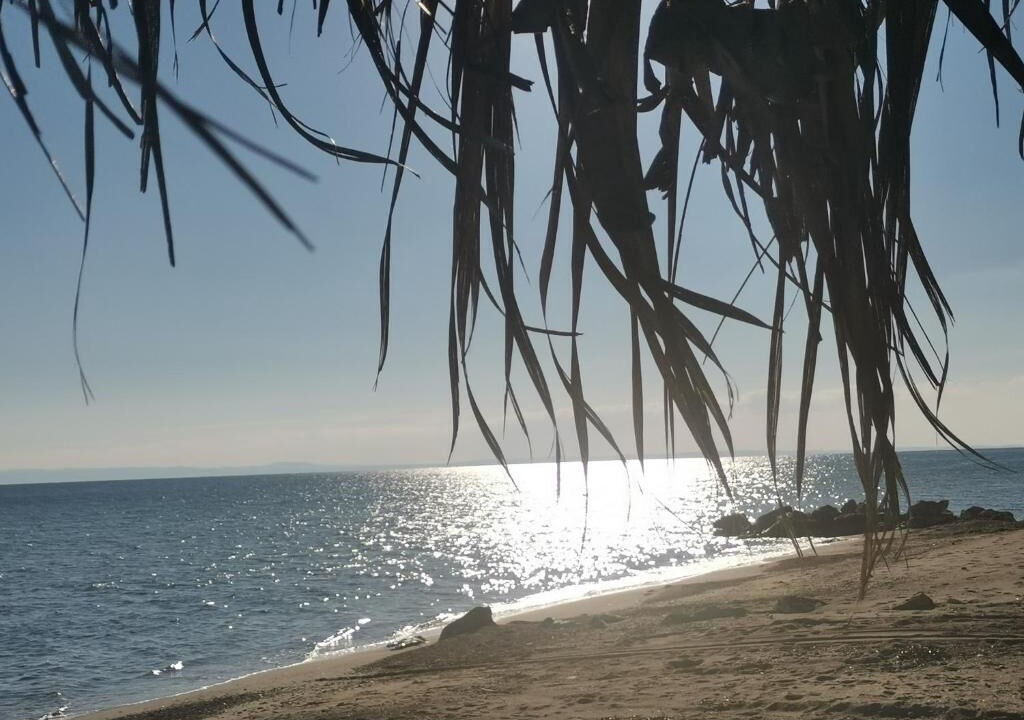 Photo of Others in Halkidiki