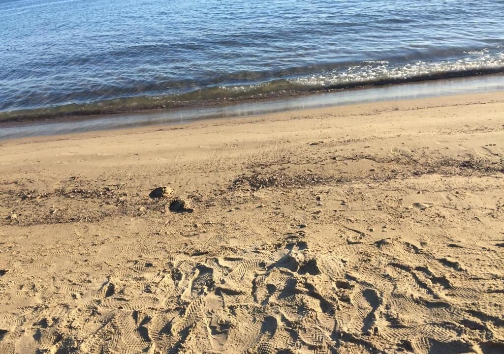 Photo of Others in Halkidiki