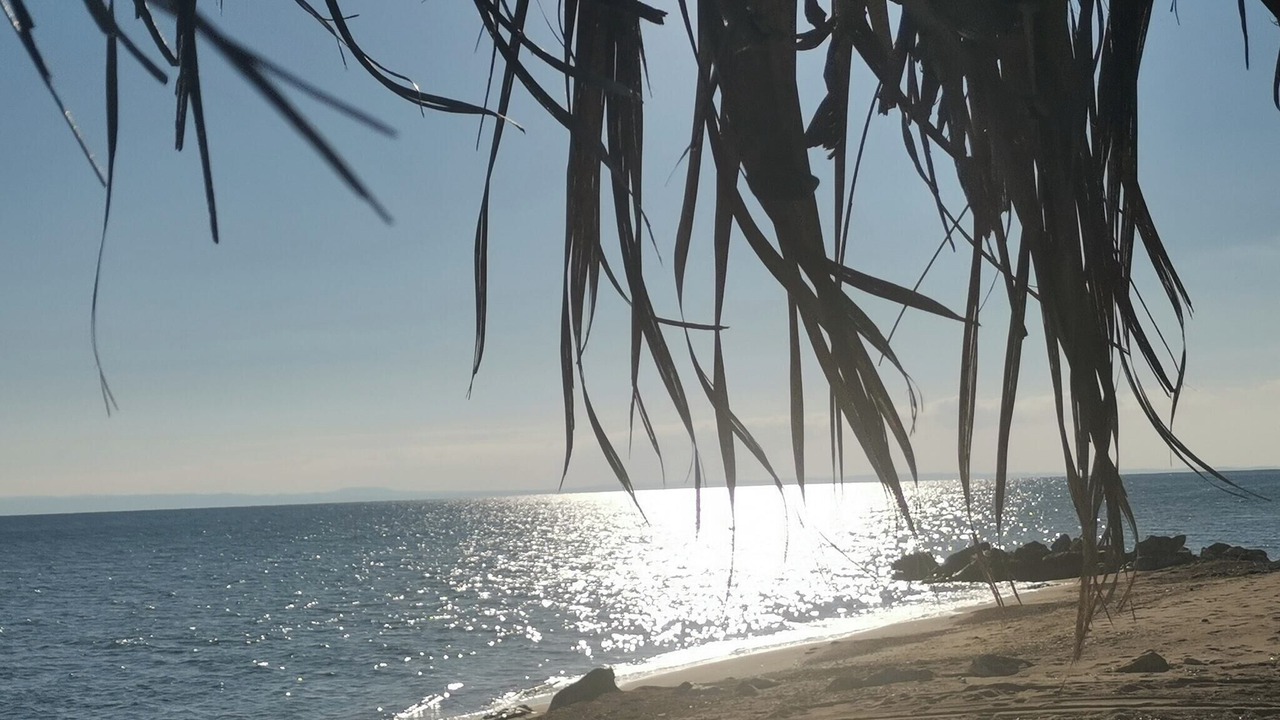 Photo of Others in Halkidiki